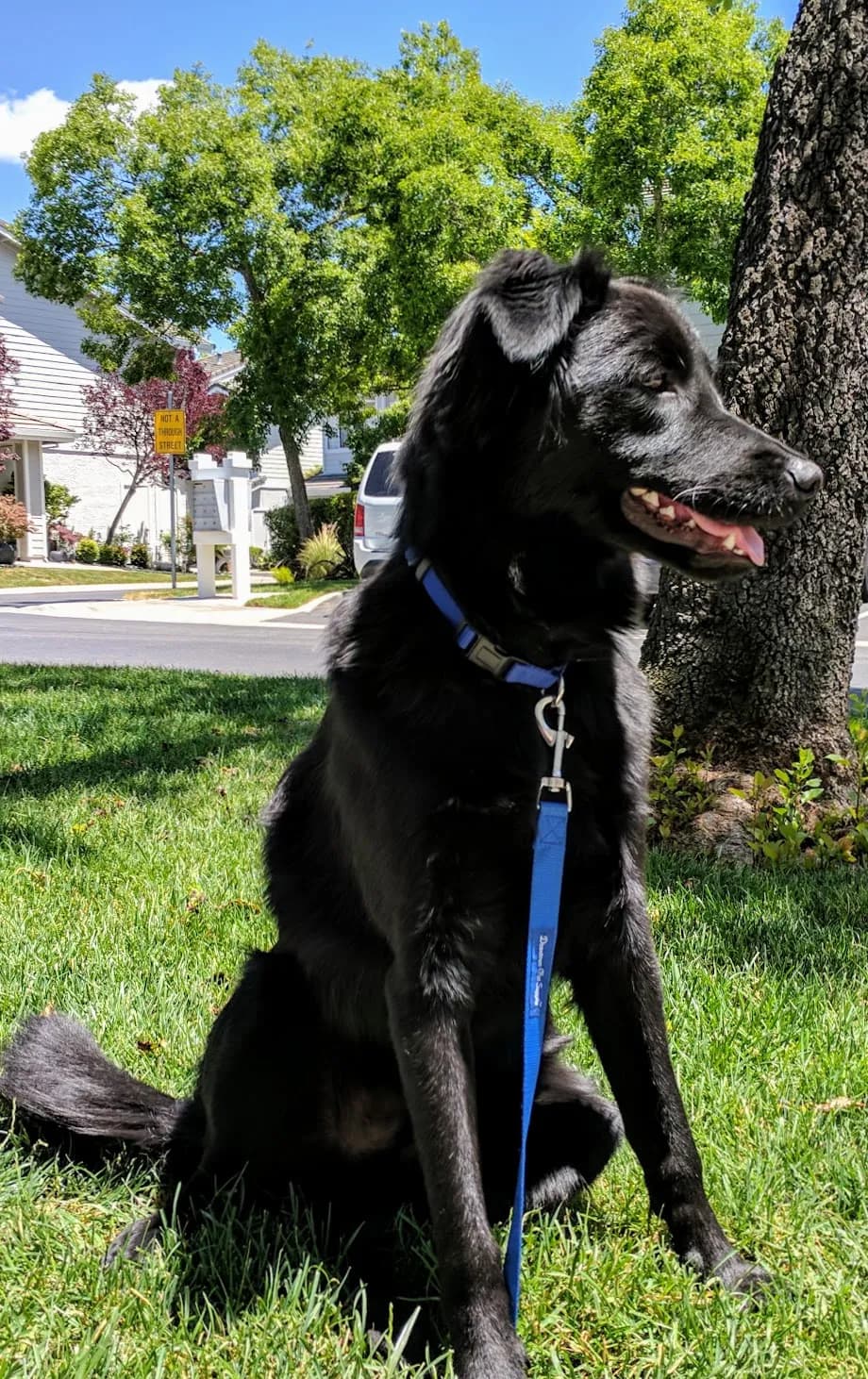 Such a Handsome Boy!